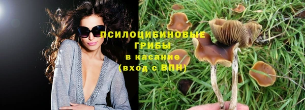 метадон Нязепетровск